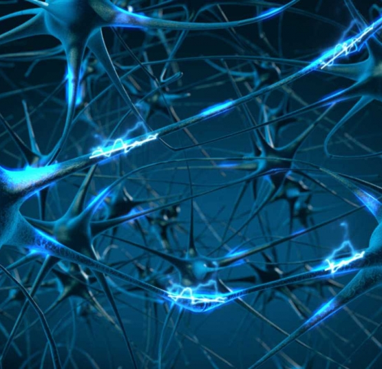 ¿Qué tipos de cuidados necesita una persona con la EH?