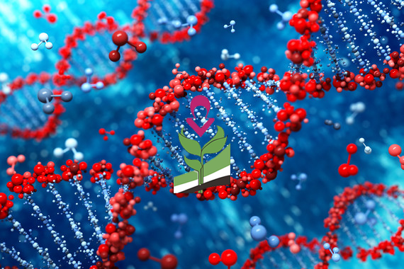 Ensayo clínico mundial contra el Huntington
